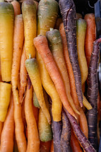  fresh carrots at market