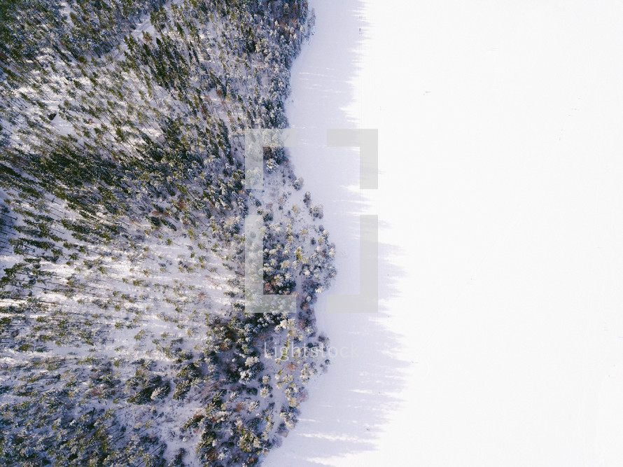 aerial view over a snowy forest 