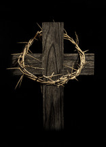 crown of thorns on a wood cross 