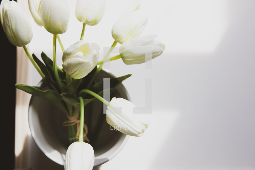 vase of white tulips 