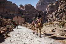 man riding a camel 