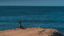 woman sitting at the edge of a sea cliff and seagull 