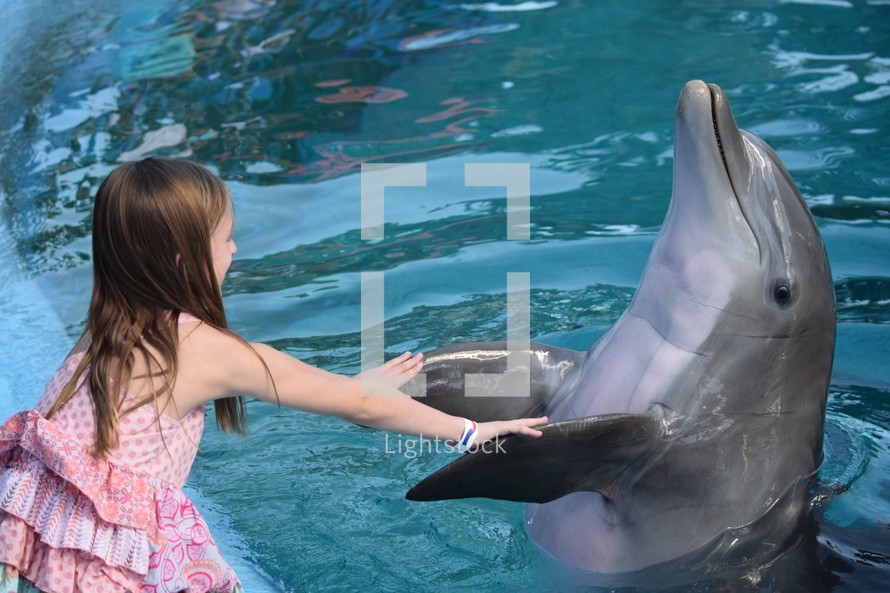 a little girl dancing with a dolphin 