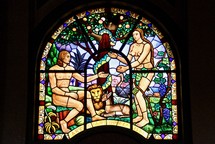 Adam and Eve Stained glass window 