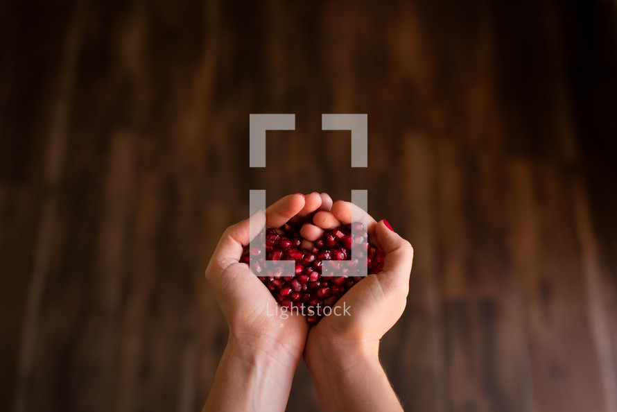 cupped hands holding pomegranate seeds 