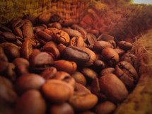 coffee beans in a burlap sac