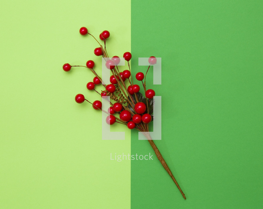 red berries on green background 