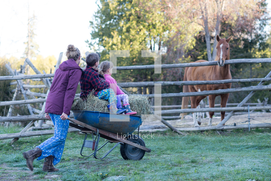 kids in a wheelbarrow full of hay to feed horses 