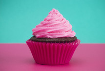 chocolate cupcake with bright pink icing 