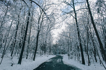 road and snow in a forest 