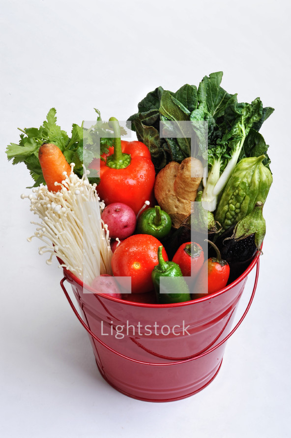 vegetables in a bucket 