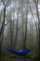 man reading in a hammock in a forest 