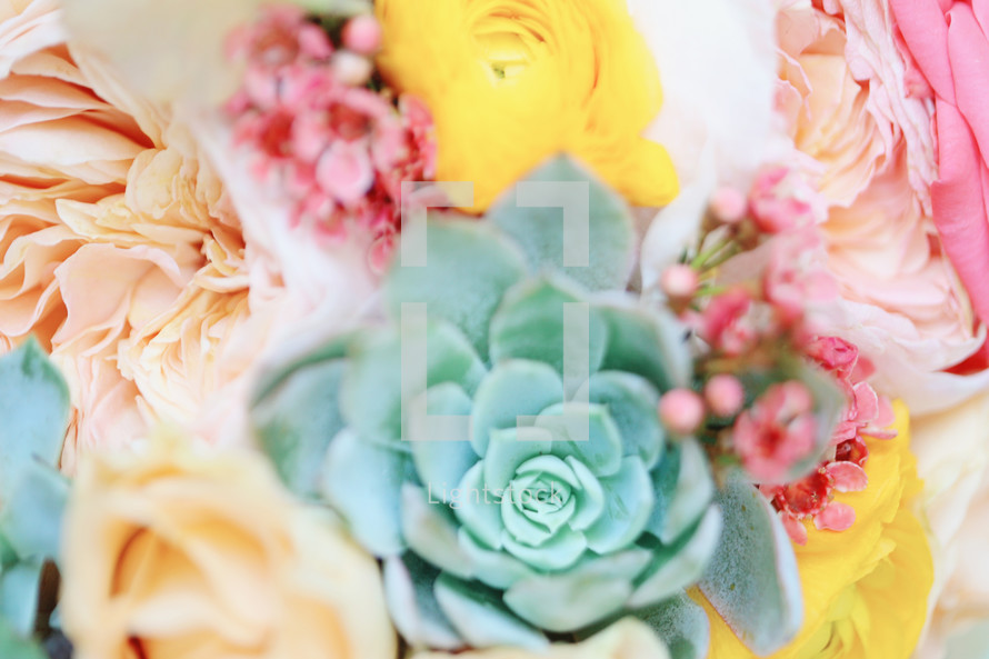 succulent plants and roses in a bouquet 