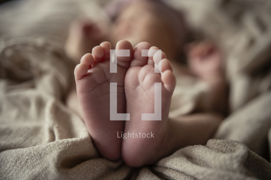 newborn feet 