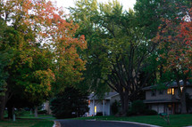 fall trees in a neighborhood 
