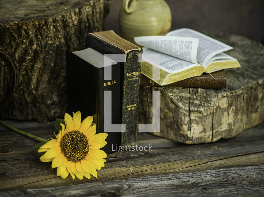 Bibles and sunflower 