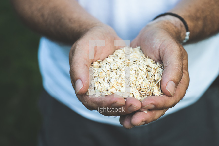 cupped hands holding oats 