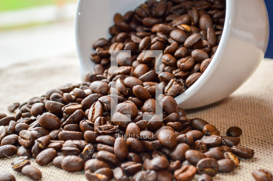 coffee beans in a bowl 