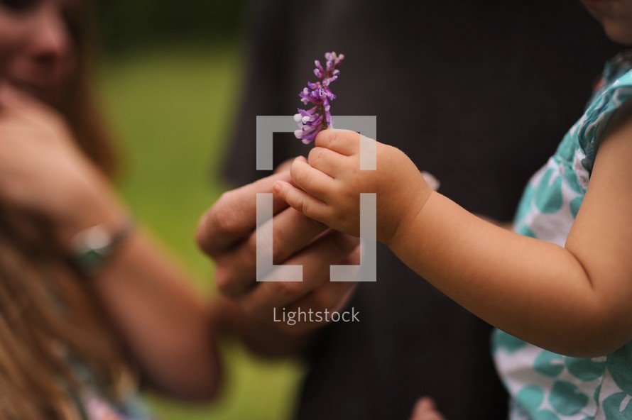 a father giving his toddler daughter a picked flower 