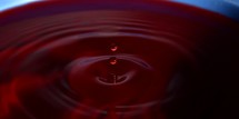 Water drop photography, red water drops