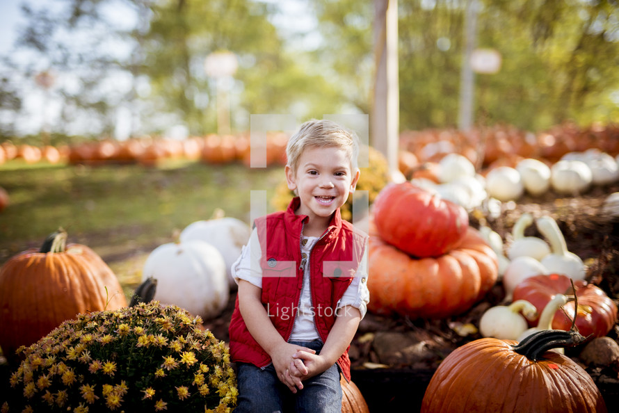 toddler boy in a pumpkin patch 