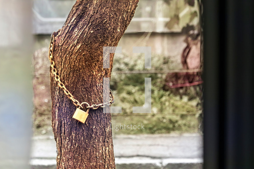 Protected tree. Nature safety. Conceptual image
