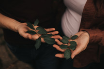 leaves in hands 