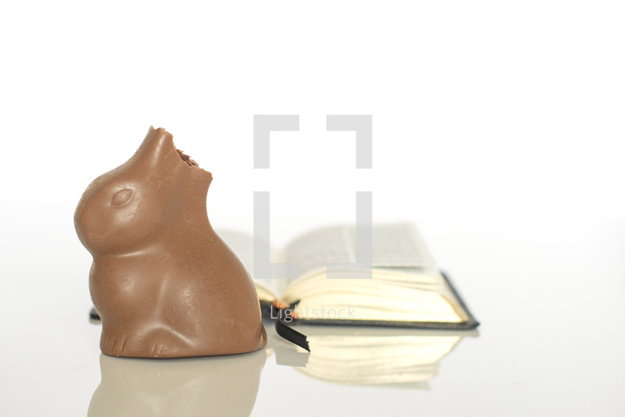 chocolate Easter bunny and opened Bible 