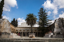 palm tree in a courtyard in Jerusalem 