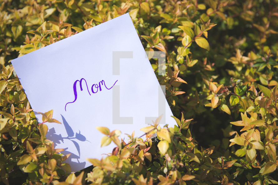 mom sign in a bush 