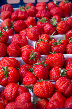 fresh pints of strawberries 