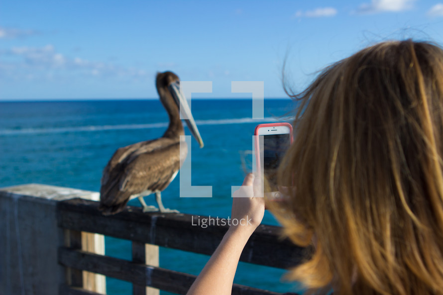 a woman taking a picture of a pelican with her cellphone 
