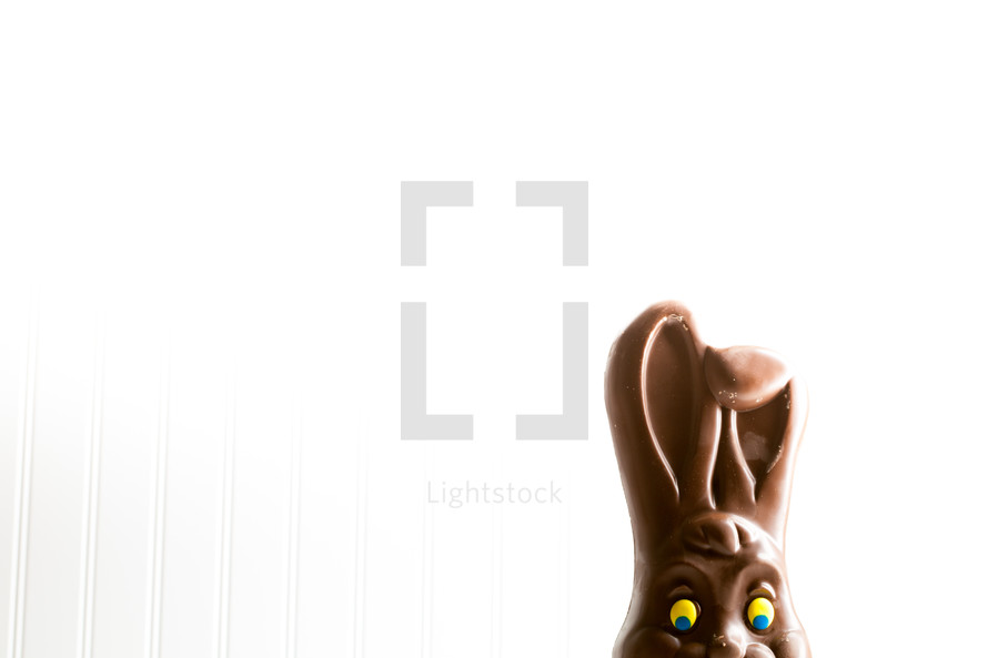 disappearing chocolate bunny