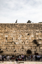 visitors to the Western wall 