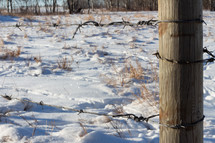 Barbwire fence in snow 