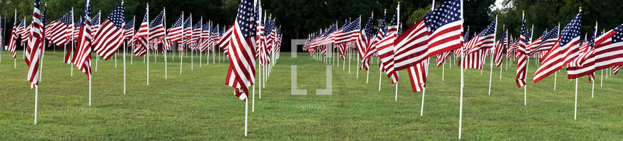 Memorial day flags in local park