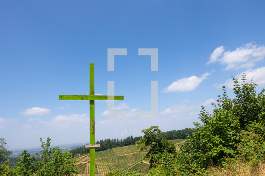 Green wood cross in vineyard in summer