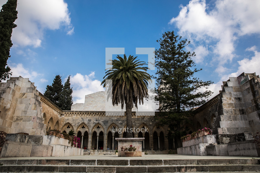 palm tree in a courtyard in Jerusalem 