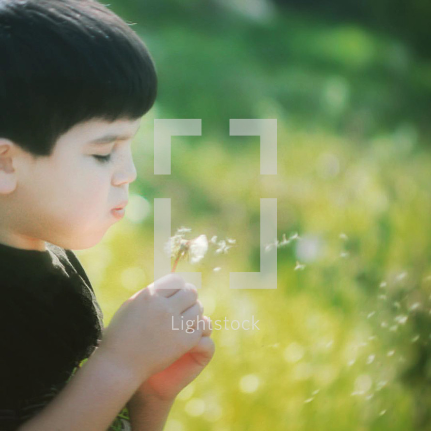 a boy blowing on a dandelion 
