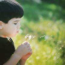 a boy blowing on a dandelion 