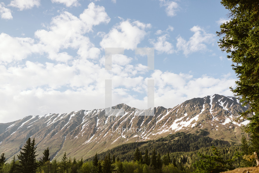 Snowy mountains with blue skies and green trees