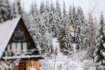 Cabins in the snow. 