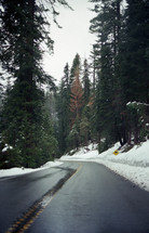 slick road in winter 
