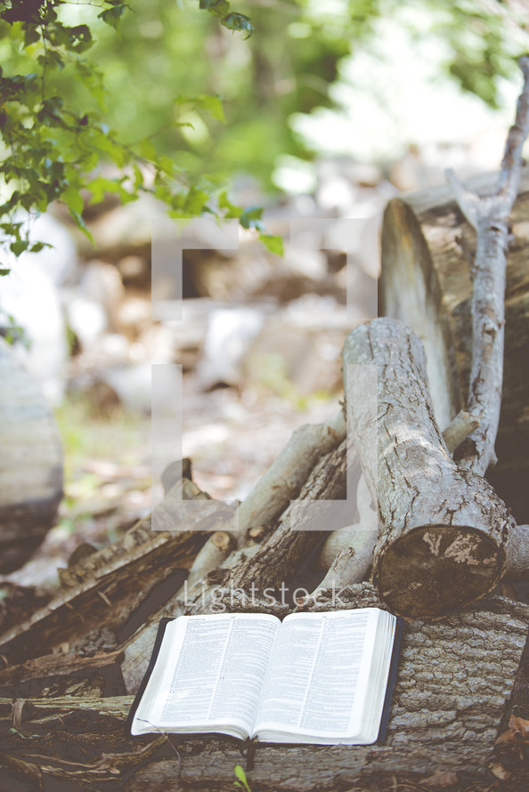Bible on a pile of wood 