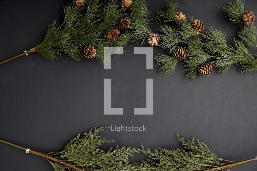 artificial evergreen branches on a black background 
