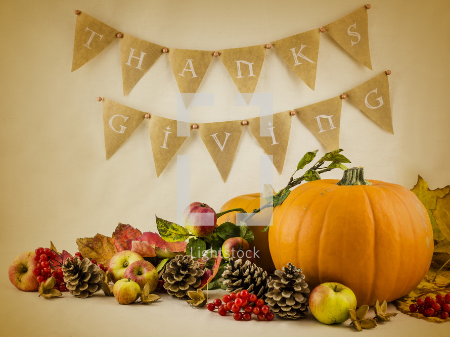 Thanksgiving scene and pumpkins and pine cones 