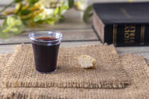 communion elements and Bible 
