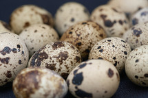 speckled eggs 