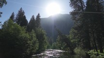 a River and Pine Trees in Yosemite National Park