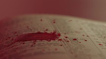 Bible and Blood